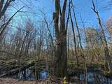 10830 3 Mile Road - Photo 11