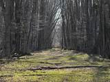 10830 3 Mile Road - Photo 12