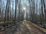 10830 3 Mile Road - Photo 13
