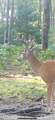 10830 3 Mile Road - Photo 31