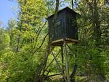 10830 3 Mile Road - Photo 8