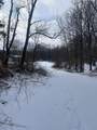 0 28 Mile Road - Photo 2