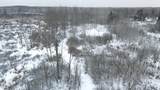 78.5 Acres Alabaster Road - Photo 21