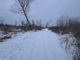 78.5 Acres Alabaster Road - Photo 31