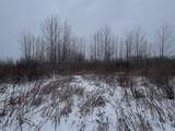 78.5 Acres Alabaster Road - Photo 33
