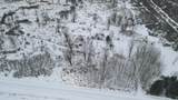 1.5 Acres Alabaster Road - Photo 8