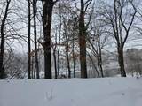 7696 Muskegon Boulevard - Photo 12