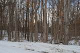 0 Willow Rd - Photo 18