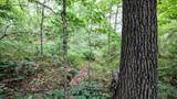 VL Mud Lake Rd - Photo 18