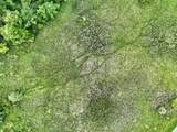 VL Mud Lake Rd - Photo 4