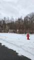 0 Ann Arbor Road - Photo 14