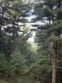 Lot G Hemlock Trail - Photo 1