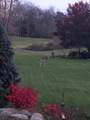 1335 Silo Ridge Drive - Photo 22
