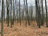 V/L 17 Mile Rd - Photo 29