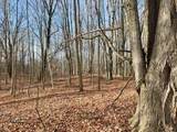 V/L 17 Mile Rd - Photo 31