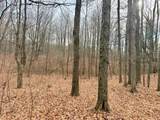 V/L 17 Mile Rd - Photo 32