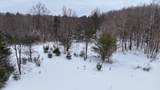 V/L 17 Mile Rd - Photo 40