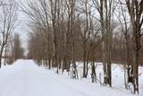 V/L 17 Mile Rd - Photo 45