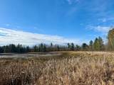 V/L 17 Mile Rd - Photo 46