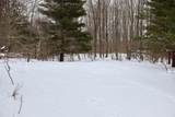 V/L 17 Mile Rd - Photo 51