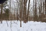 V/L 17 Mile Rd - Photo 56