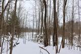 V/L 17 Mile Rd - Photo 57