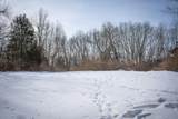 5100 Long Lake Road - Photo 45