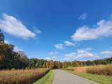 6850 Nature Lane - Photo 7