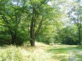  Wildwood Trail - Photo 10
