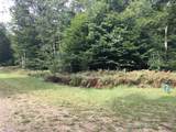  Wildwood Trail - Photo 12