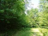  Wildwood Trail - Photo 14