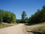 Wildwood Trail - Photo 4