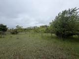 11020 Morgan Mills Avenue - Photo 10
