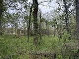 11020 Morgan Mills Avenue - Photo 13
