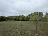 11020 Morgan Mills Avenue - Photo 4