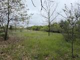 11020 Morgan Mills Avenue - Photo 5