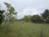 11020 Morgan Mills Avenue - Photo 9