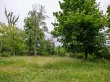 354 Burgess Drive Vacant Land - Photo 8