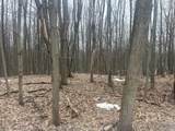 9735 Pere Marquette Drive - Photo 2