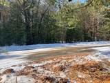 9098 Forest Pines Drive - Photo 2
