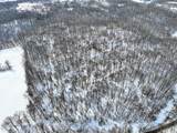 11150 Drive - Photo 13