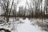 11150 Drive - Photo 20