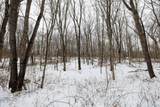 11150 Drive - Photo 34