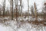 11150 Drive - Photo 35