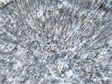 11150 Drive - Photo 4