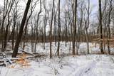 11150 Drive - Photo 41