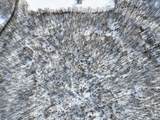 11150 Drive - Photo 8