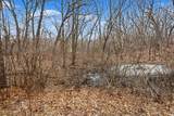 V/L Jones Road - Photo 14