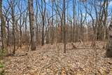 V/L Jones Road - Photo 15