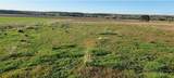 10 Acres +/- 3 Mile Road - Photo 3